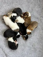 processed/682f19c8-f452-4985-a1e6-3aea4f3db395/facility/ec8e35a5-8e7d-498f-80ee-4510d330b943