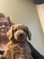 processed/683a38e7-5a1c-4c84-abce-0c5116246896/listing/c149153d-c289-49be-a2cf-23168421019f/39d90e3b-3559-49f8-b50d-8abe1671a3ee