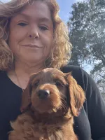 processed/683a38e7-5a1c-4c84-abce-0c5116246896/listing/c149153d-c289-49be-a2cf-23168421019f/806c10c5-fefa-4dcb-a34a-04ebd29b0ce3