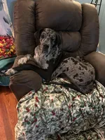 processed/683de55b-a117-4f9b-91b1-f7292d9816a9/facility/1174edae-6a59-4917-a3e2-80d3ee80e700