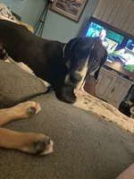 processed/683de55b-a117-4f9b-91b1-f7292d9816a9/facility/a96ff387-84be-4482-9215-e1e6a2e84414