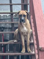 processed/683de55b-a117-4f9b-91b1-f7292d9816a9/listing/05194ad8-3657-4e1a-a916-9e256780cda0/291d8870-0b0a-474d-8cc5-d6bdfcbd6db2