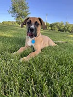 processed/683de55b-a117-4f9b-91b1-f7292d9816a9/listing/05194ad8-3657-4e1a-a916-9e256780cda0/4edb59a9-e47b-4296-ac09-c2408870b2cd