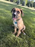 processed/683de55b-a117-4f9b-91b1-f7292d9816a9/listing/05194ad8-3657-4e1a-a916-9e256780cda0/b376b56b-7bed-426d-9923-ce15f1d97f64