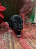 processed/683de55b-a117-4f9b-91b1-f7292d9816a9/listing/fce15ade-1374-40ca-b409-5010eaafe0b8/798980ab-ba08-4906-9ed5-103137e345f3