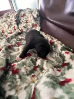 processed/683de55b-a117-4f9b-91b1-f7292d9816a9/listing/fce15ade-1374-40ca-b409-5010eaafe0b8/90bc663d-a635-4331-a688-e8b21ee50d48