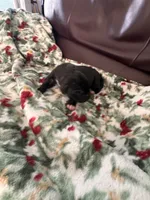 processed/683de55b-a117-4f9b-91b1-f7292d9816a9/listing/fce15ade-1374-40ca-b409-5010eaafe0b8/a5afa75e-19eb-4327-bc4f-1c5da99d4092