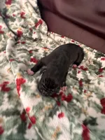 processed/683de55b-a117-4f9b-91b1-f7292d9816a9/listing/fce15ade-1374-40ca-b409-5010eaafe0b8/b4bd1ce2-667d-4671-be2f-e12d6c21868b