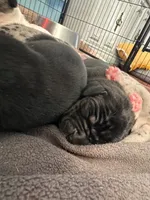 processed/683de55b-a117-4f9b-91b1-f7292d9816a9/listing/fce15ade-1374-40ca-b409-5010eaafe0b8/c0f78485-3925-40d9-baed-2e7f5e7bb3d5