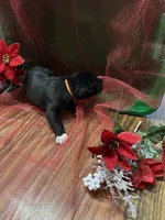 processed/683de55b-a117-4f9b-91b1-f7292d9816a9/listing/fce15ade-1374-40ca-b409-5010eaafe0b8/c74c3381-9e8d-4e25-8e89-92a8807984d4