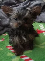 processed/683ef708-fe08-4b74-97f9-0ebbcd4b840f/listing/3aa84179-8f6e-4f89-84ac-d99d40a75ac4/40f2e738-eba7-44ac-a592-903791418dce