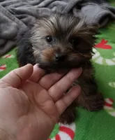 processed/683ef708-fe08-4b74-97f9-0ebbcd4b840f/listing/3aa84179-8f6e-4f89-84ac-d99d40a75ac4/410f944d-71fd-4d85-9061-7b1409a364f6