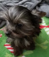 processed/683ef708-fe08-4b74-97f9-0ebbcd4b840f/listing/3aa84179-8f6e-4f89-84ac-d99d40a75ac4/416304e4-6bb5-44ce-b61e-87bab2197a05