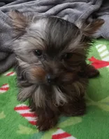 processed/683ef708-fe08-4b74-97f9-0ebbcd4b840f/listing/3aa84179-8f6e-4f89-84ac-d99d40a75ac4/43beaf36-ba70-4674-b841-10f2e93f361f