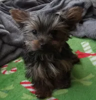 processed/683ef708-fe08-4b74-97f9-0ebbcd4b840f/listing/3aa84179-8f6e-4f89-84ac-d99d40a75ac4/60308072-385a-46e8-a4f1-2e59a896f633