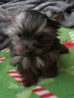 processed/683ef708-fe08-4b74-97f9-0ebbcd4b840f/listing/3aa84179-8f6e-4f89-84ac-d99d40a75ac4/906c7f81-7e1b-49f7-a7a6-b80191b7355c