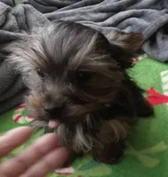 processed/683ef708-fe08-4b74-97f9-0ebbcd4b840f/listing/3aa84179-8f6e-4f89-84ac-d99d40a75ac4/c5404c1a-266a-46ee-82b0-6b986b076fac