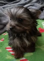 processed/683ef708-fe08-4b74-97f9-0ebbcd4b840f/listing/3aa84179-8f6e-4f89-84ac-d99d40a75ac4/f5c6c4c5-3784-4710-8863-b0e7b222b2d5