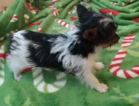 processed/683ef708-fe08-4b74-97f9-0ebbcd4b840f/listing/7aced267-8449-48c3-adfd-804a5d9cc456/12caf4eb-ae32-4ebb-b718-5c2acd1b5f88