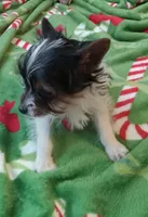 processed/683ef708-fe08-4b74-97f9-0ebbcd4b840f/listing/7aced267-8449-48c3-adfd-804a5d9cc456/2fb1a734-be58-411c-9476-1fa430e2aef5