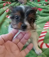 processed/683ef708-fe08-4b74-97f9-0ebbcd4b840f/listing/7aced267-8449-48c3-adfd-804a5d9cc456/74b9be02-7ac8-472e-a1a3-6d23d0d1bb7c