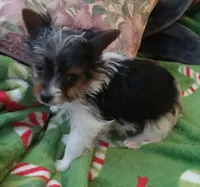 processed/683ef708-fe08-4b74-97f9-0ebbcd4b840f/listing/7aced267-8449-48c3-adfd-804a5d9cc456/be82d7d9-dcd0-4b96-b852-21fe5cc07f0d