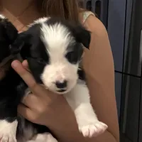 processed/6845b2e5-bcd4-48fa-a376-07652071817e/listing/066c37cd-5e6c-4c8c-adf8-efa7d66d4c65/be8b425b-5dbe-4894-8c17-1a4c9e58dd84