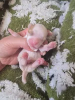 processed/684b68df-bae0-4541-b604-9002231f64ef/listing/19cba68b-b724-4cd7-aebc-5befb22b63ec/0f9cbb2e-3442-4307-aa41-8f50be8673b2