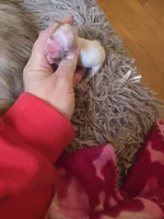 processed/684b68df-bae0-4541-b604-9002231f64ef/listing/19cba68b-b724-4cd7-aebc-5befb22b63ec/4e4a9a71-37da-4c79-999c-e55e0395782c