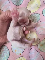 processed/684b68df-bae0-4541-b604-9002231f64ef/listing/6e0e5464-40d3-4ba5-ae2b-84b5c24e59b7/490ad3ee-9dd4-46e0-ab4b-373f36a734a8