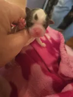 processed/684b68df-bae0-4541-b604-9002231f64ef/listing/7d40fb67-7da2-44c0-9c19-5f38c55760bd/207a5271-5a04-4e0d-9b19-9464c06ceef2