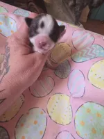 processed/684b68df-bae0-4541-b604-9002231f64ef/listing/7d40fb67-7da2-44c0-9c19-5f38c55760bd/215e5469-2a1d-46d0-bb92-7e4bb2a870ff