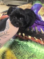 processed/684b68df-bae0-4541-b604-9002231f64ef/listing/8d73d7a2-52fa-43db-8a8c-c9efc946c90f/024c6cef-c715-49e7-81d6-f9c9de11657a