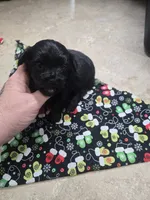 processed/684b68df-bae0-4541-b604-9002231f64ef/listing/8d73d7a2-52fa-43db-8a8c-c9efc946c90f/6b868082-a5a2-4609-9242-1598db888ed5