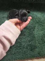 processed/684b68df-bae0-4541-b604-9002231f64ef/listing/8d73d7a2-52fa-43db-8a8c-c9efc946c90f/9079fe6b-605e-48a2-ad33-4395aabc5dbc