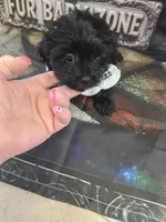 processed/684b68df-bae0-4541-b604-9002231f64ef/listing/8d73d7a2-52fa-43db-8a8c-c9efc946c90f/9442c14c-a708-4697-9def-8c03513c4254