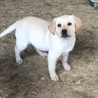 processed/684c1472-5a16-4e04-9164-e1458f546e6f/facility/468c40e8-f23b-4eed-93e3-febb76676617