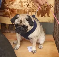 processed/684c1472-5a16-4e04-9164-e1458f546e6f/facility/5c5487b9-0152-4226-950f-4aa2cc5e81ed