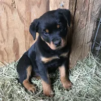 processed/684c1472-5a16-4e04-9164-e1458f546e6f/facility/b1d9fccb-0591-4507-98c2-4ef682586fef