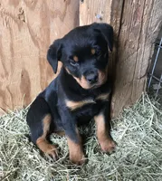 processed/684c1472-5a16-4e04-9164-e1458f546e6f/facility/b1d9fccb-0591-4507-98c2-4ef682586fef