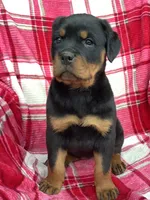 processed/684c1472-5a16-4e04-9164-e1458f546e6f/listing/21e2a4e2-404c-415b-908a-e3dde88c26bd/5ee7ff15-2037-46c9-b26c-23acae106e13