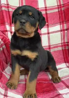 processed/684c1472-5a16-4e04-9164-e1458f546e6f/listing/21e2a4e2-404c-415b-908a-e3dde88c26bd/d350af99-f3ba-4fea-8557-6ad9bb46fb72