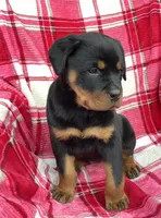 processed/684c1472-5a16-4e04-9164-e1458f546e6f/listing/21e2a4e2-404c-415b-908a-e3dde88c26bd/e404f14b-26c0-4122-b7fc-7ebcaa6c9e24