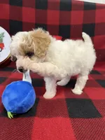 processed/68618425-5f90-4057-a7f5-cbe42c84ba2d/listing/4a228c84-d33a-43da-aeb1-5ff93a95d9db/3e3fb7cc-4e4a-45b3-b856-d213b527d955