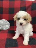 processed/68618425-5f90-4057-a7f5-cbe42c84ba2d/listing/4a228c84-d33a-43da-aeb1-5ff93a95d9db/435bc669-1cb9-4282-834c-2bb5af4b708d