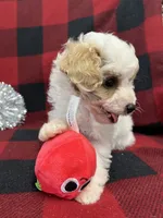 processed/68618425-5f90-4057-a7f5-cbe42c84ba2d/listing/4a228c84-d33a-43da-aeb1-5ff93a95d9db/7b81dbba-ccc3-4a81-b5cd-aa3deb473cc7