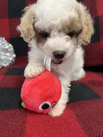 processed/68618425-5f90-4057-a7f5-cbe42c84ba2d/listing/4a228c84-d33a-43da-aeb1-5ff93a95d9db/d0ec0774-f9e2-48d0-a8fb-e5d9639ad5a5