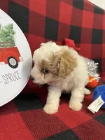 processed/68618425-5f90-4057-a7f5-cbe42c84ba2d/listing/4a228c84-d33a-43da-aeb1-5ff93a95d9db/ee8a293d-80a3-4b1c-b0bf-66d24b029e11