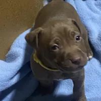 processed/6867cf46-ca57-43a7-b8c2-368cccf2d7d1/facility/471a9d1a-5ddf-4212-b250-840afca50e65