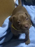 processed/6867cf46-ca57-43a7-b8c2-368cccf2d7d1/facility/471a9d1a-5ddf-4212-b250-840afca50e65